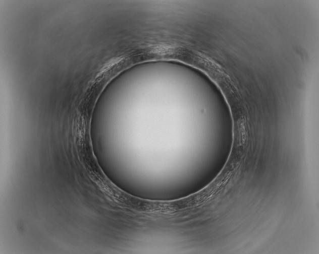 X0000115831158200911131459