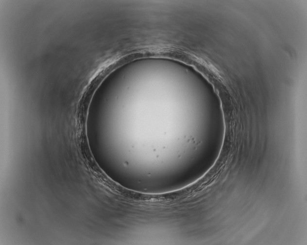 X0000115831160200911131459