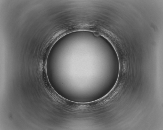 X0000115831161200911131459