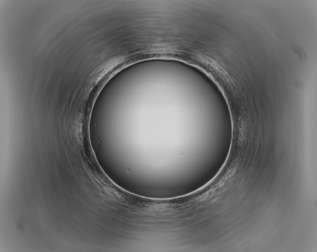 X0000115831162200911131459