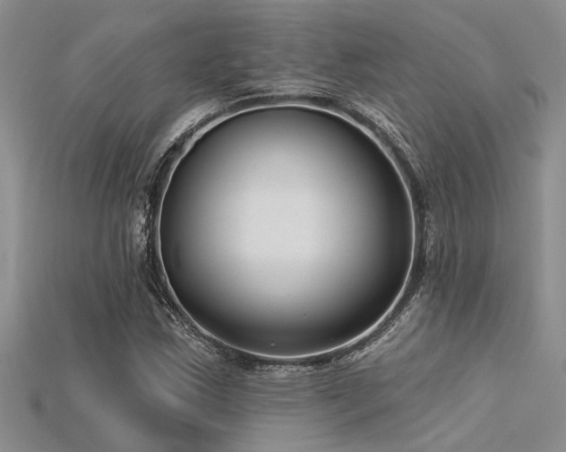 X0000115831163200911131459