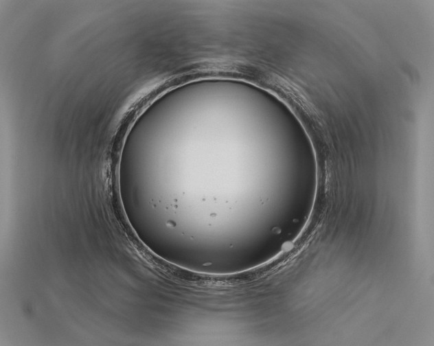 X0000115831164200911131459