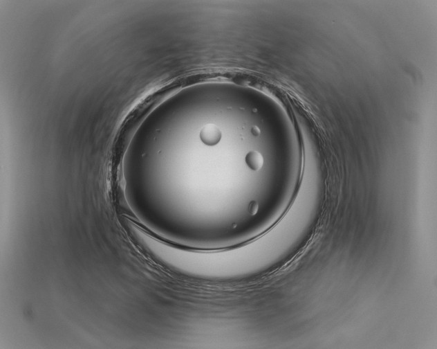 X0000115831165200911131459