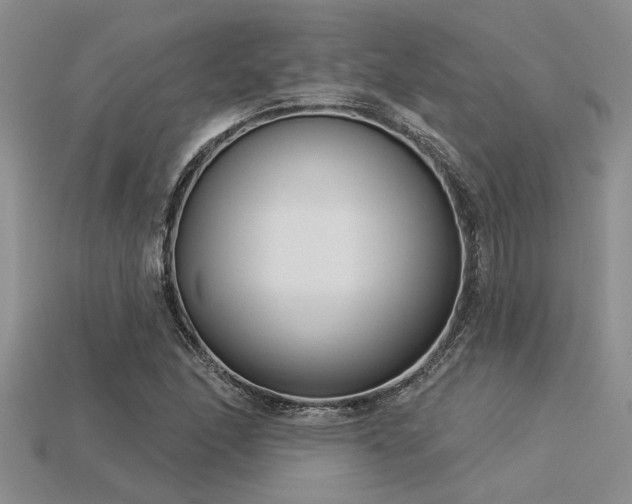 X0000115831166200911131459