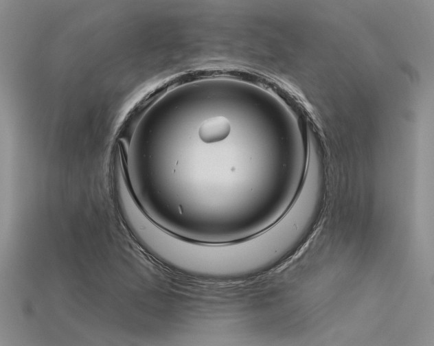 X0000115831167200911131459