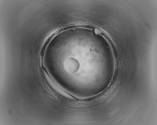 X0000115831171200911131459