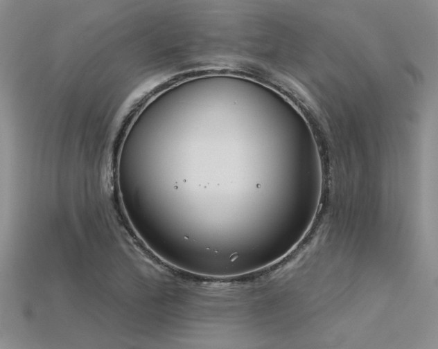 X0000115831172200911131459