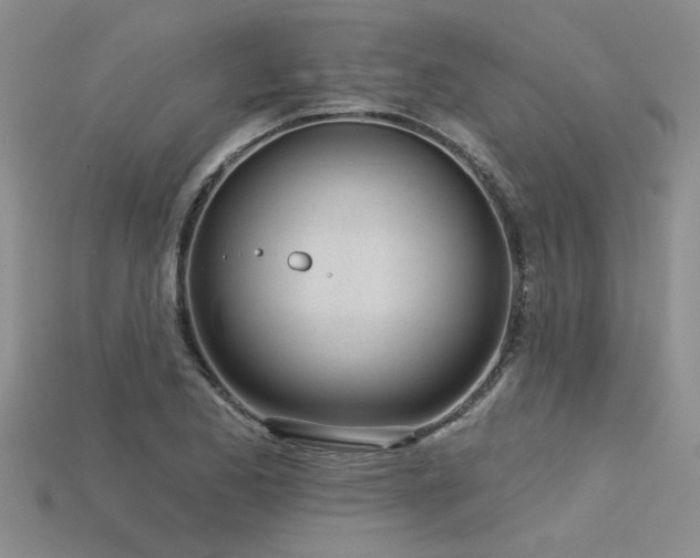 X0000115831173200911131459