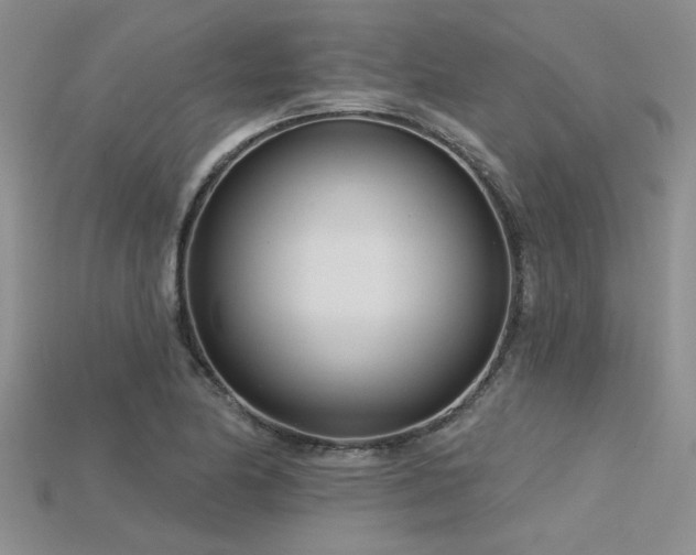 X0000115831174200911131459