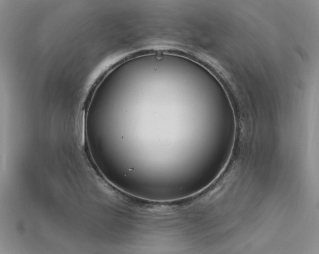 X0000115831175200911131459