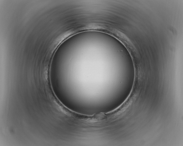 X0000115831177200911131459