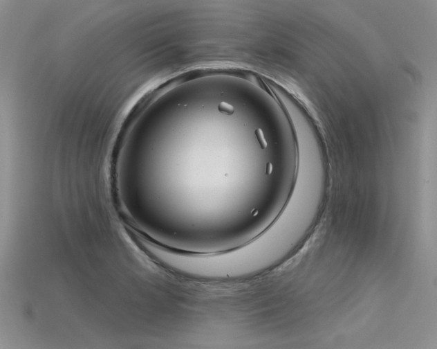 X0000115831181200911131459