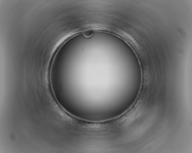 X0000115831182200911131459