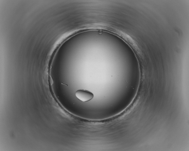 X0000115831184200911131459