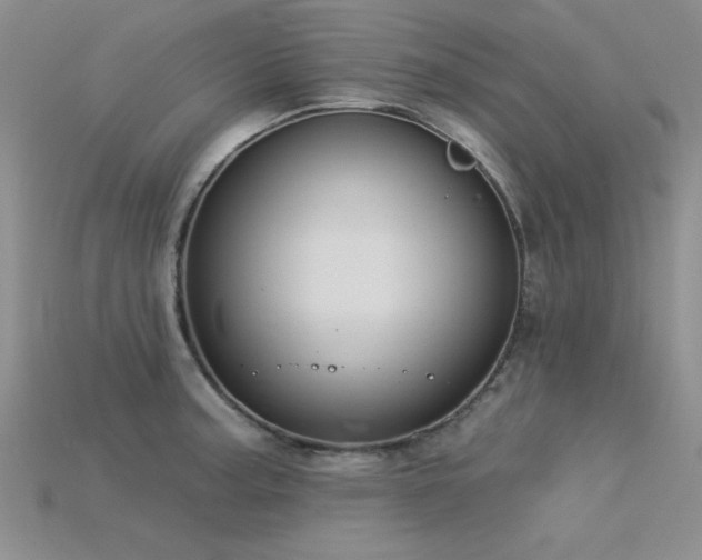 X0000115831187200911131459