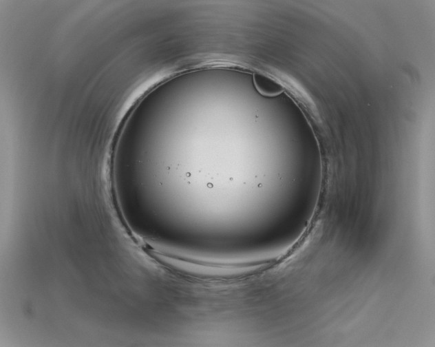 X0000115831190200911131459