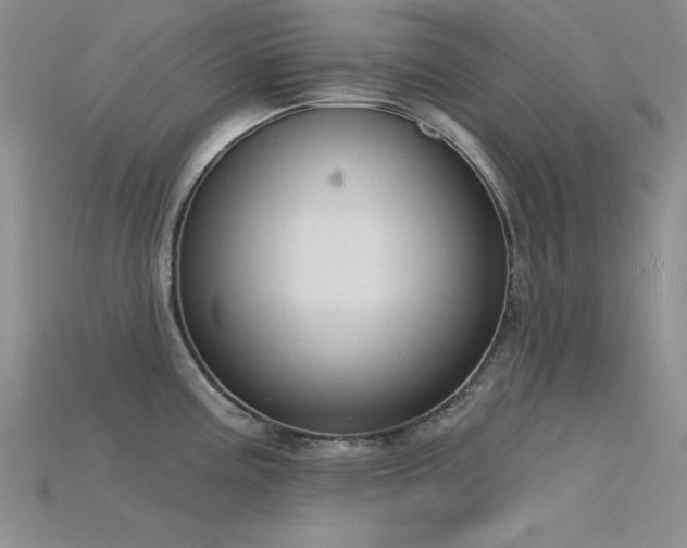 X0000115831195200911131459