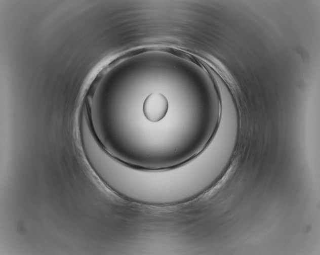 X0000115831196200911131459