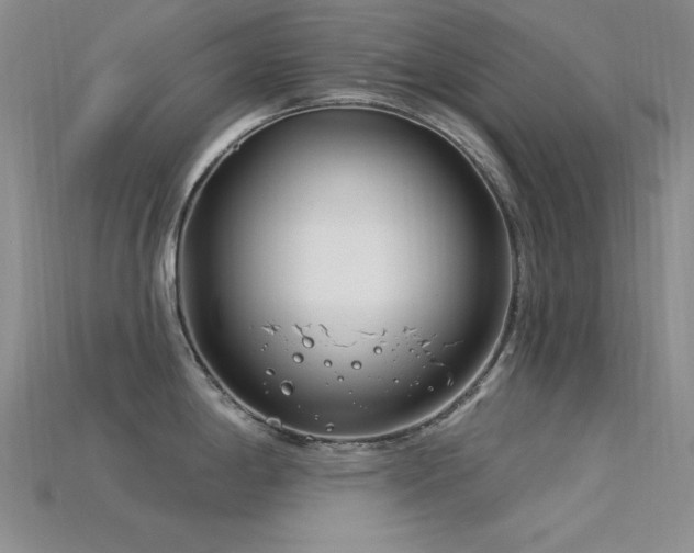 X0000115831198200911131459