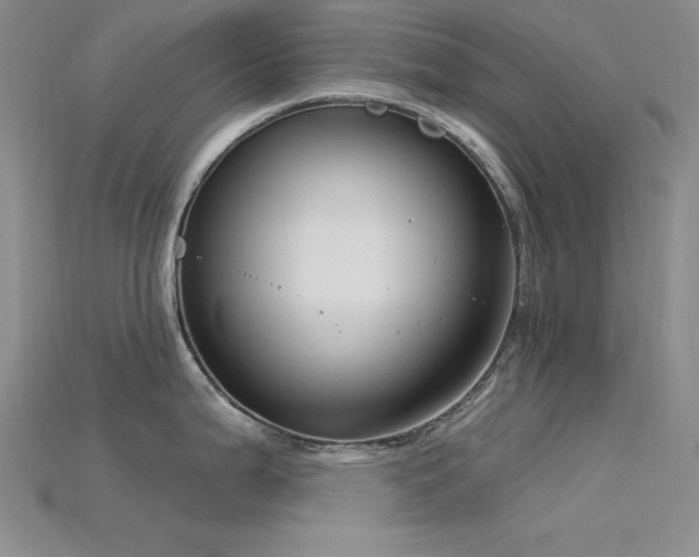 X0000115831199200911131459