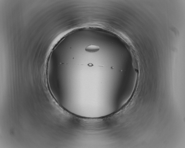 X0000115831200200911131459