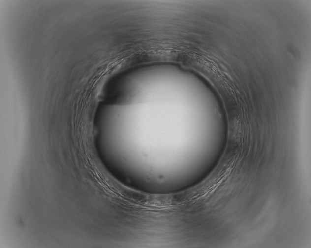 X0000115831201200911131458