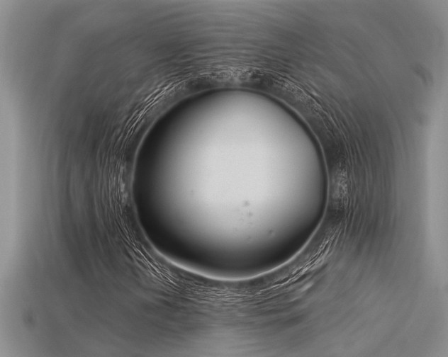 X0000115831202200911131458