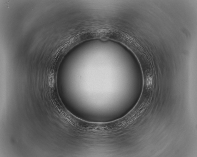 X0000115831204200911131458