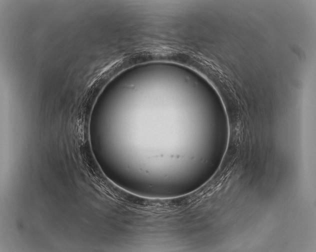 X0000115831205200911131458