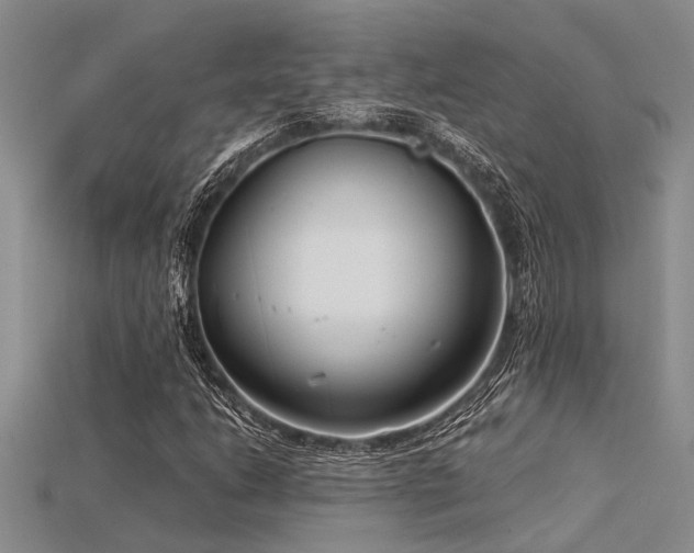 X0000115831206200911131458