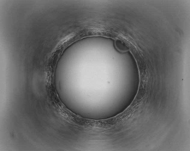 X0000115831207200911131458