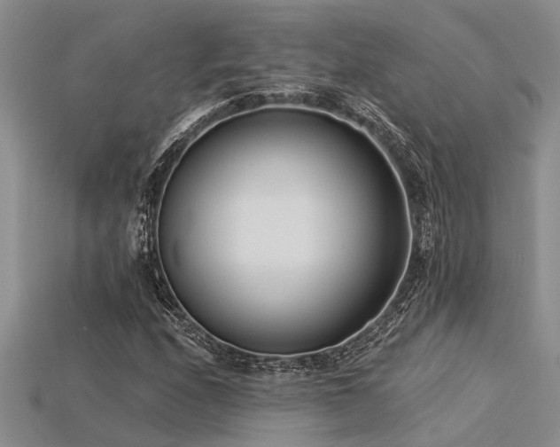 X0000115831208200911131458