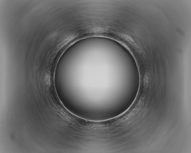 X0000115831209200911131458