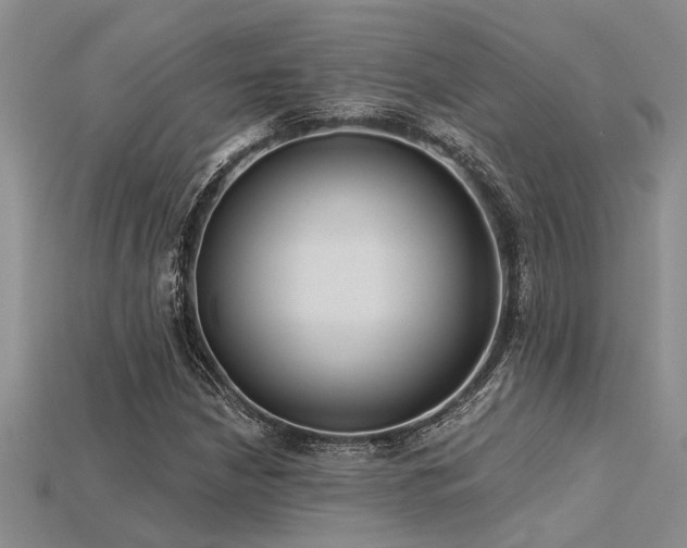 X0000115831210200911131458