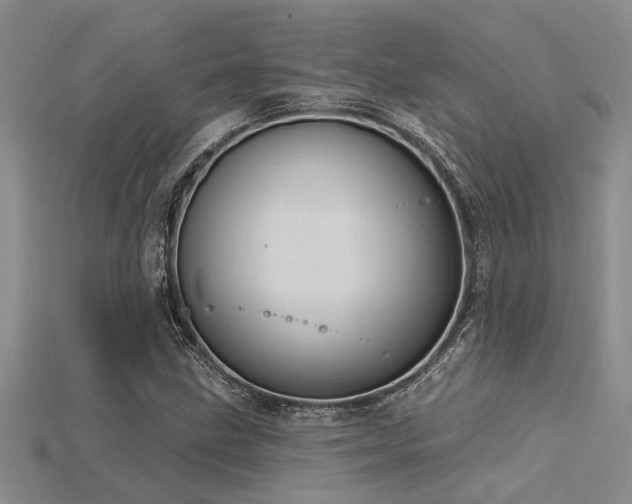 X0000115831211200911131458