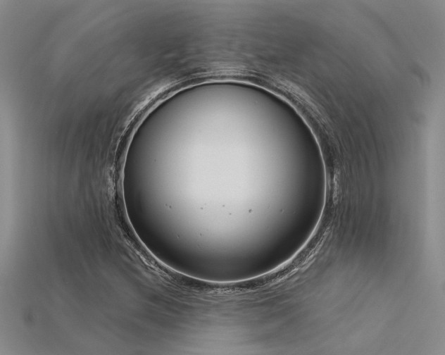 X0000115831212200911131458