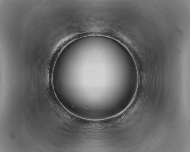 X0000115831214200911131458