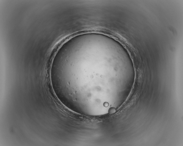 X0000115831215200911131458