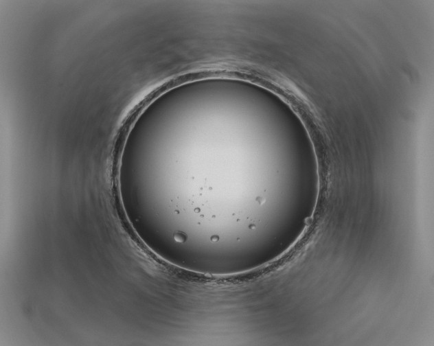 X0000115831216200911131458