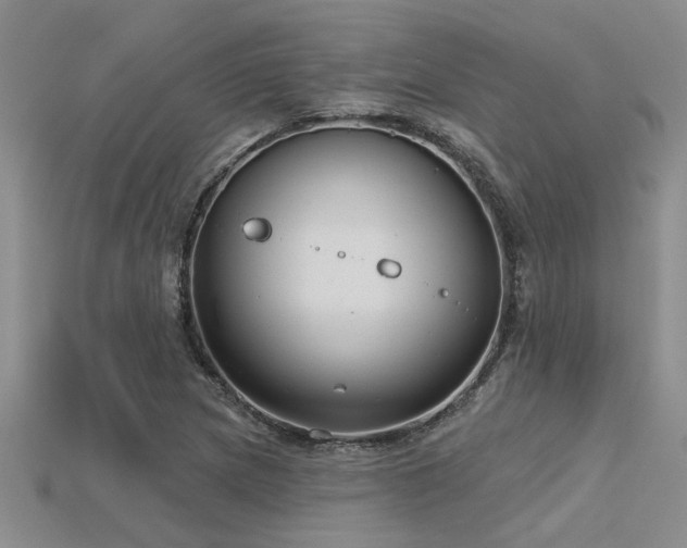 X0000115831217200911131459