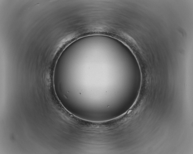 X0000115831218200911131459