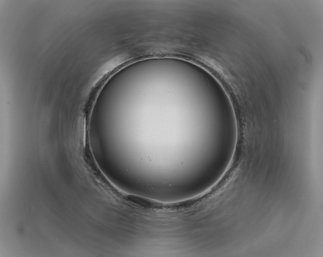 X0000115831219200911131459