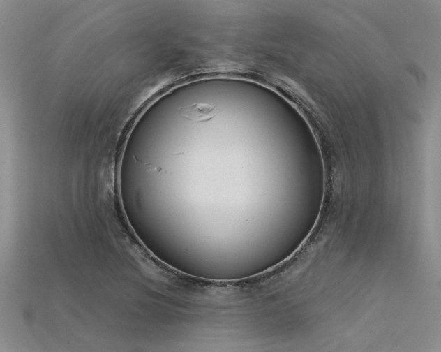 X0000115831220200911131459