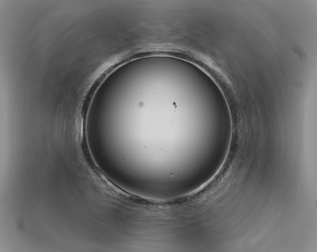 X0000115831221200911131459