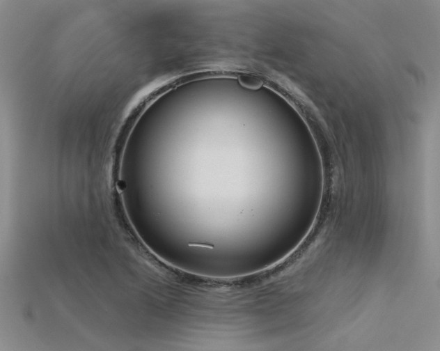 X0000115831222200911131459