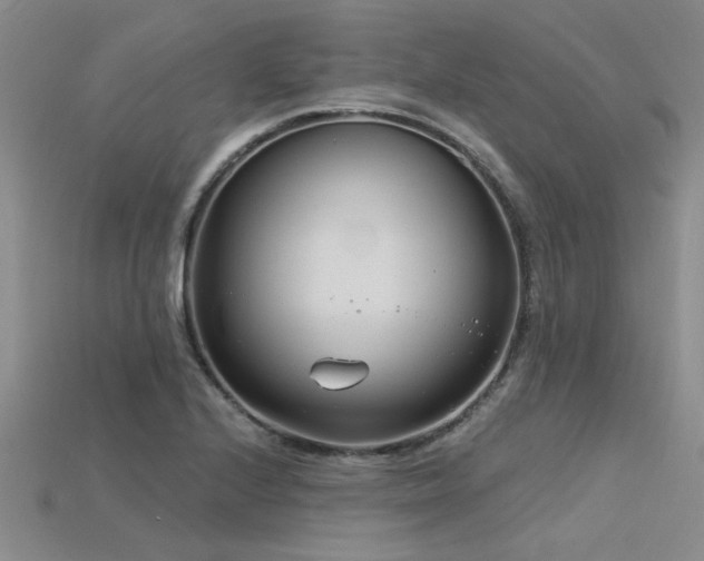 X0000115831224200911131459