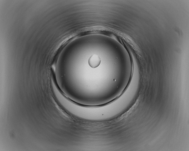 X0000115831225200911131459