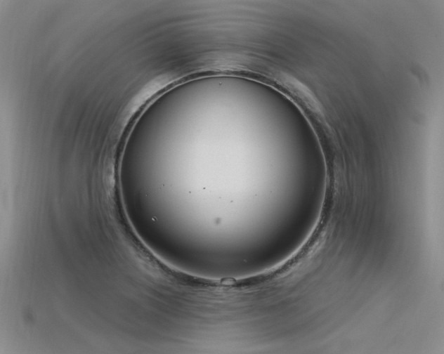 X0000115831226200911131459