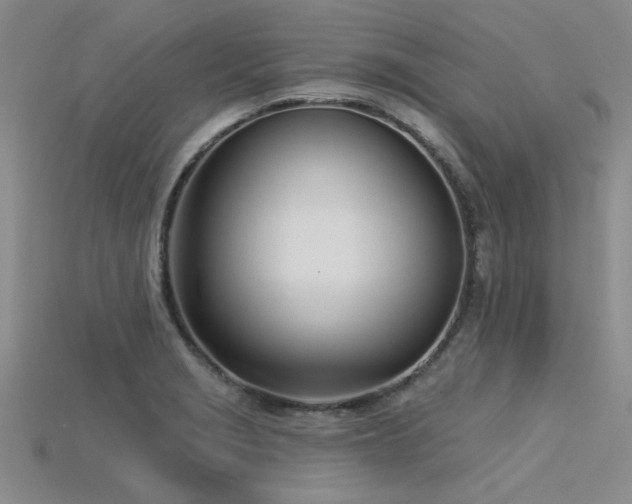 X0000115831229200911131459