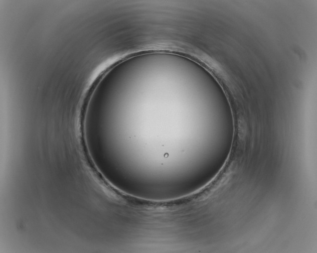 X0000115831230200911131459